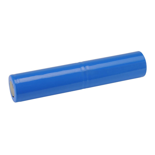 Replacement Battery Maglite