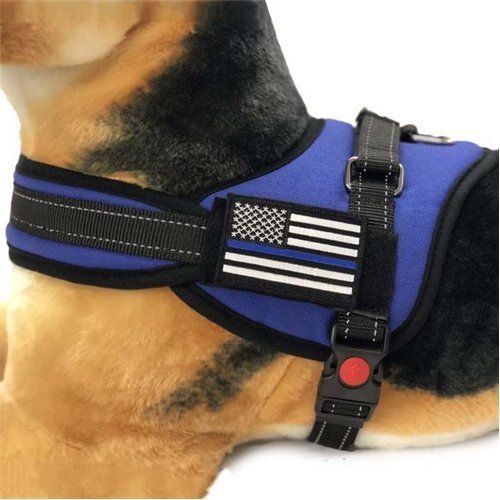 Harness With Patch